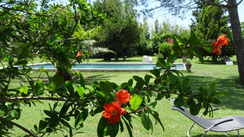 Bed & Breakfast Mas De Bouvet En Camargue Albaron