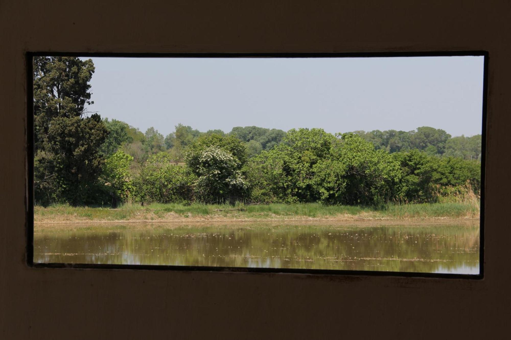Mas De Bouvet En Camargue Bed & Breakfast Albaron