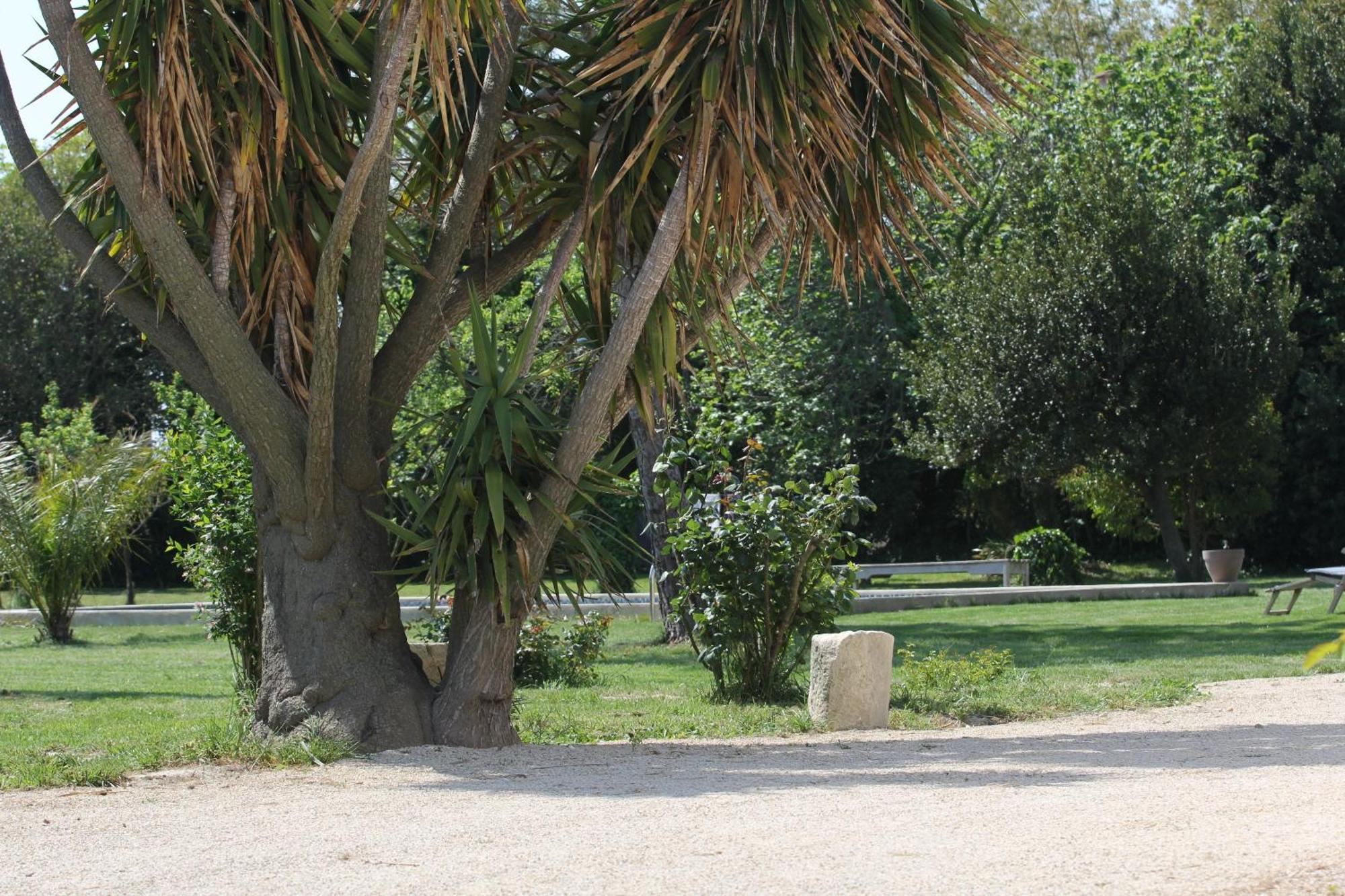 Mas De Bouvet En Camargue * Albaron